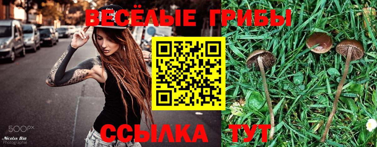 Выкса  Галлюциногенные грибы прущие грибы  сколько стоит  Вход с VPN 